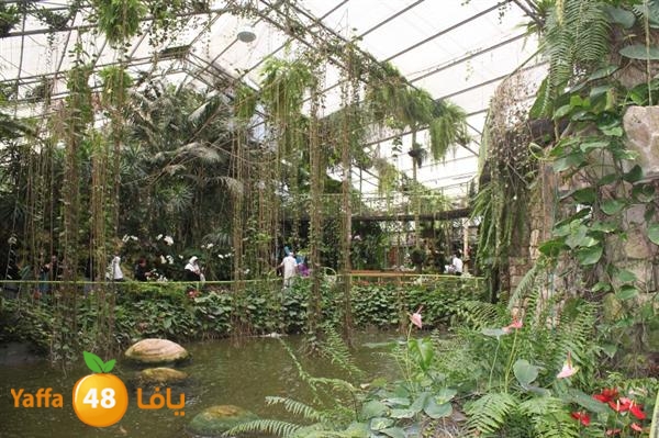 re7la mo2asaasa 0521 (129).JPG